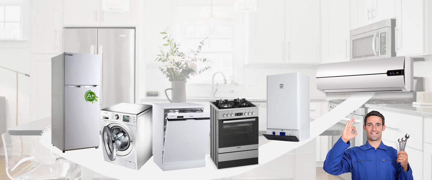 Gülbahçe Smeg Servisi